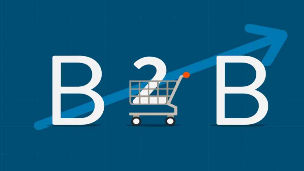 Things To Consider Before Selecting A B2b Ecommerce Software Datafilehost