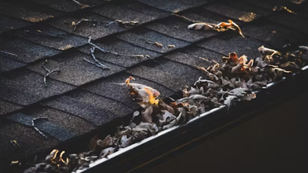 4 Devastating Ways Blocked Gutters Can Damage Your Home