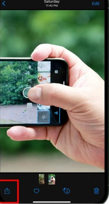 share button in iphone photos app