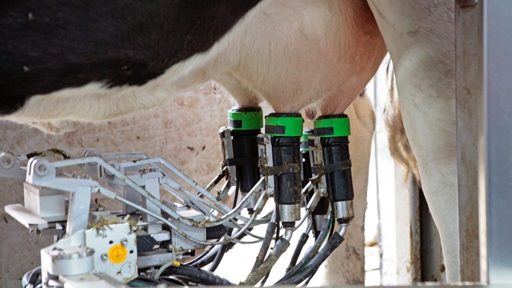 Essential Insights into Milk Processing Equipment for Modern Dairy Operations