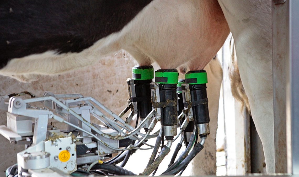 Essential Insights into Milk Processing Equipment for Modern Dairy Operations