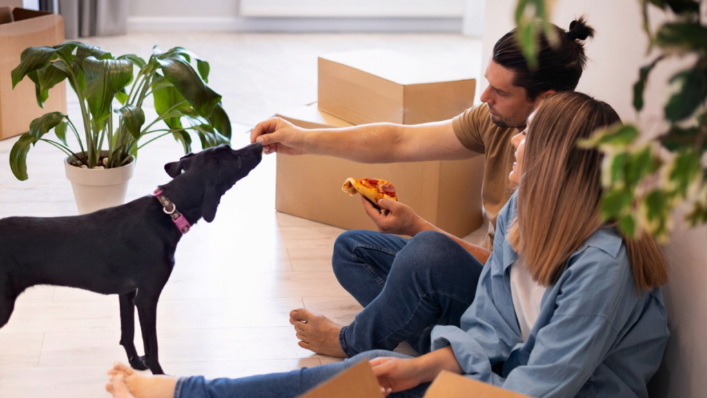 Tips to Ease the Stress of Moving For Your Pet