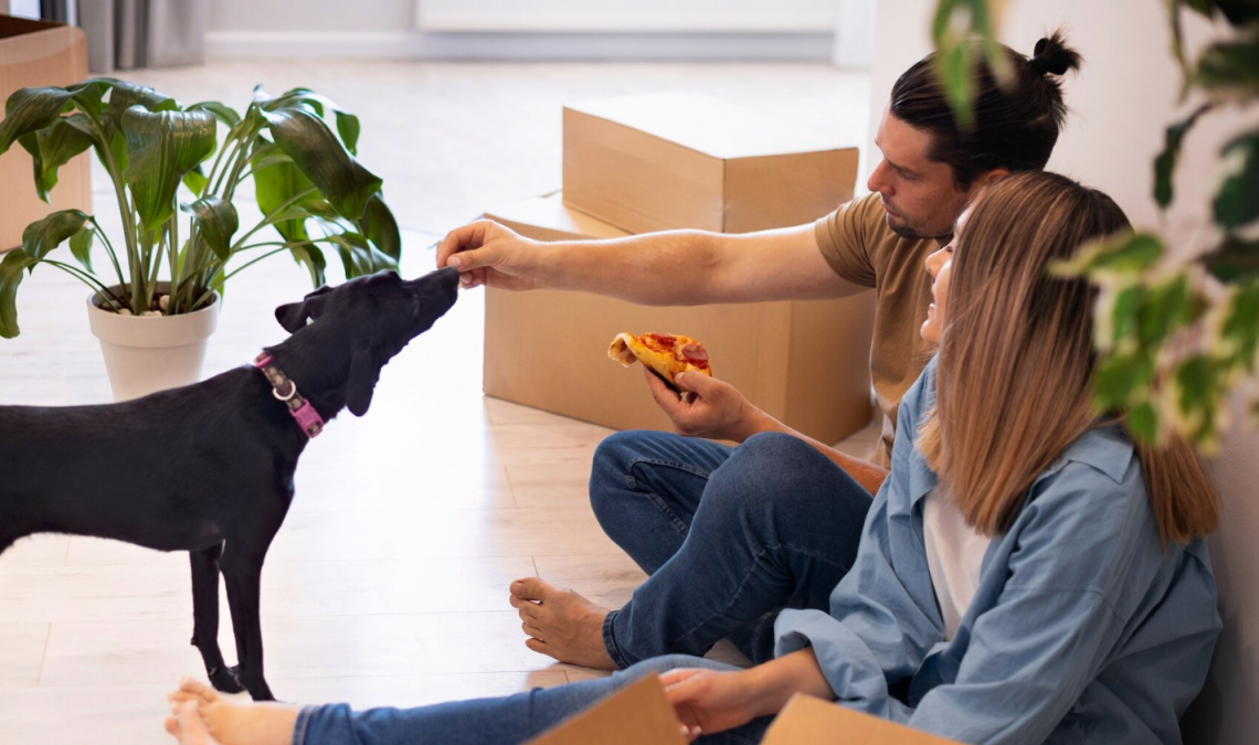 Tips to Ease the Stress of Moving For Your Pet